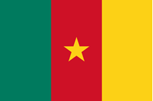 Flag of Cameroon 